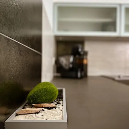 Apartment Luxury In The Heart Of - Borna&franko *
